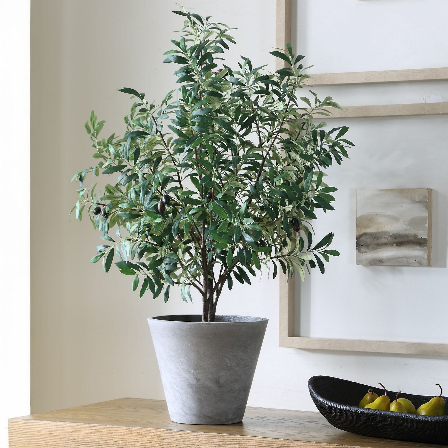 Uttermost - 60268 - Planter - Marisol - Natural-looking Olives