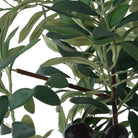 Uttermost - 60269 - Planter - Sonora Olive - Silvery-green