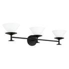 Thesis Lighting 207324A Tremolo Vanity in Matte Black, Champagne Gold