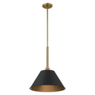 Thesis Lighting 207335A Mcgill Pendant in Natural Brass, Matte Black