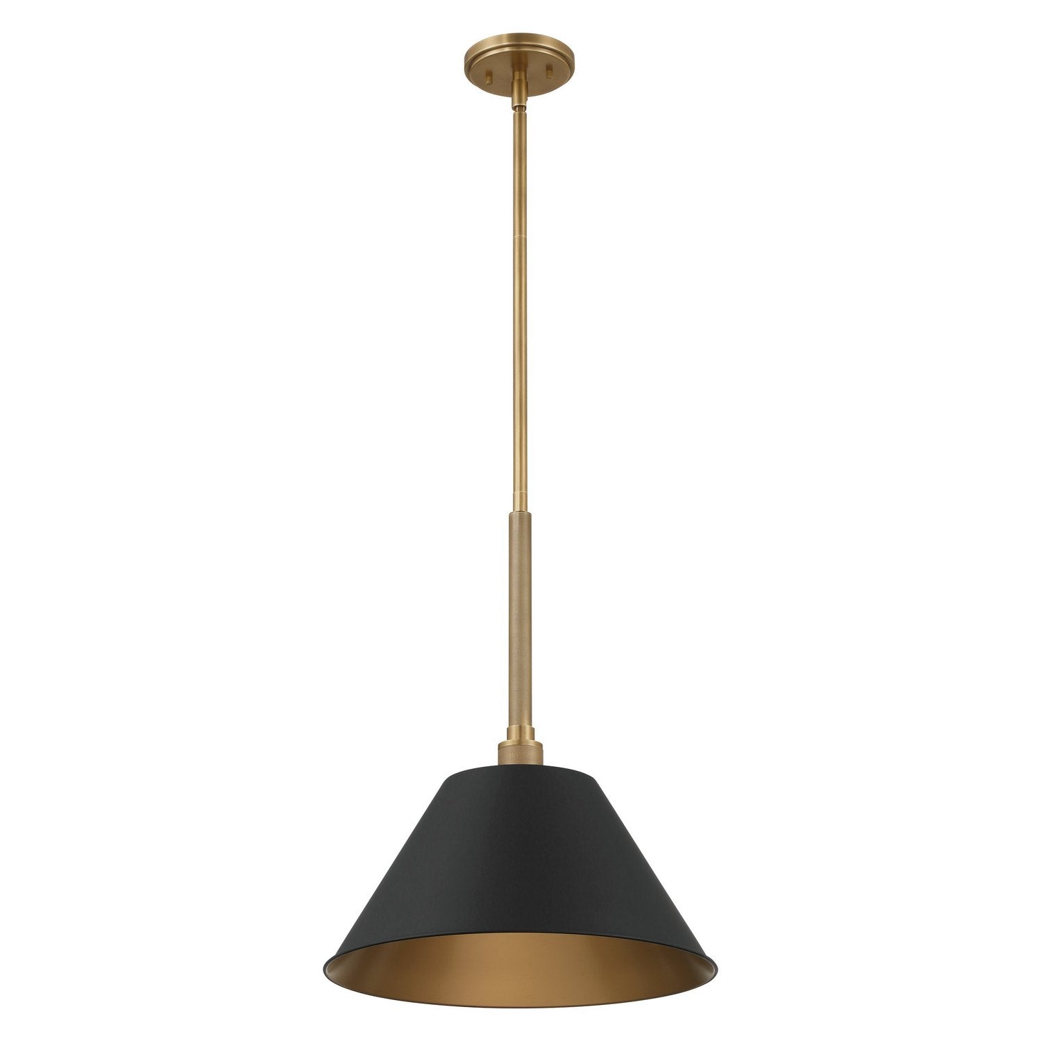 Thesis Lighting 207335A Mcgill Pendant in Natural Brass, Matte Black