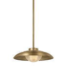Troy Lighting Canada - F4118-PBR - One Light Pendant - Braxton - Patina Brass