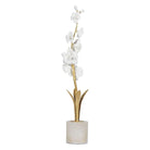 Regina Andrew - Thylane Accessory - 20-1621 - Canada Light Shop