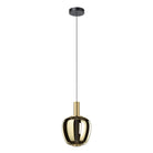 Thesis Lighting 390464A Fruitera LED Pendant in Brushed Gold
