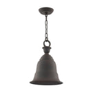 Troy Lighting Canada - F2367CR-HBZ - One Light Hanging Lantern - Liberty - Heritage Bronze