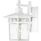 Nuvo Lighting - Cove Neck Wall Lantern - 60-4951 - Canada Light Shop
