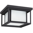 Generation Lighting Canada - 79039EN3-12 - Two Light Outdoor Flush Mount - Hunnington - Black