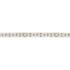 Dainolite Canada - SDLT-14430 - LED Tape Light - White