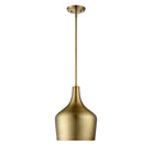 Meridian M70020NB One Light Pendant in Natural Brass