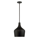 Meridian M70020ORB One Light Pendant in Oil Rubbed Bronze