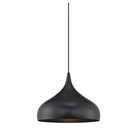 Meridian M70075MBK One Light Mini Pendant in Matte Black