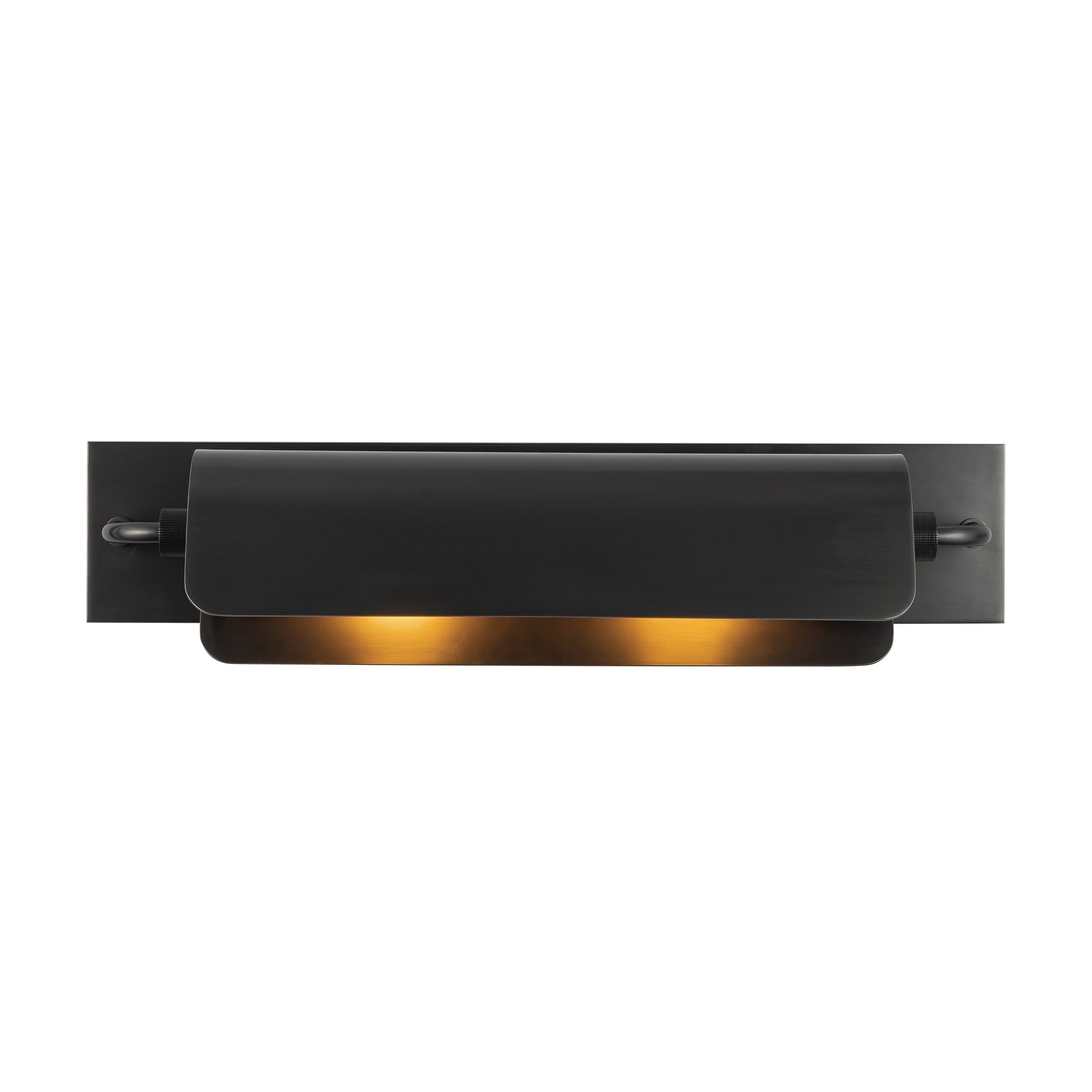 Alora Lighting Darby Wall & Picture Light