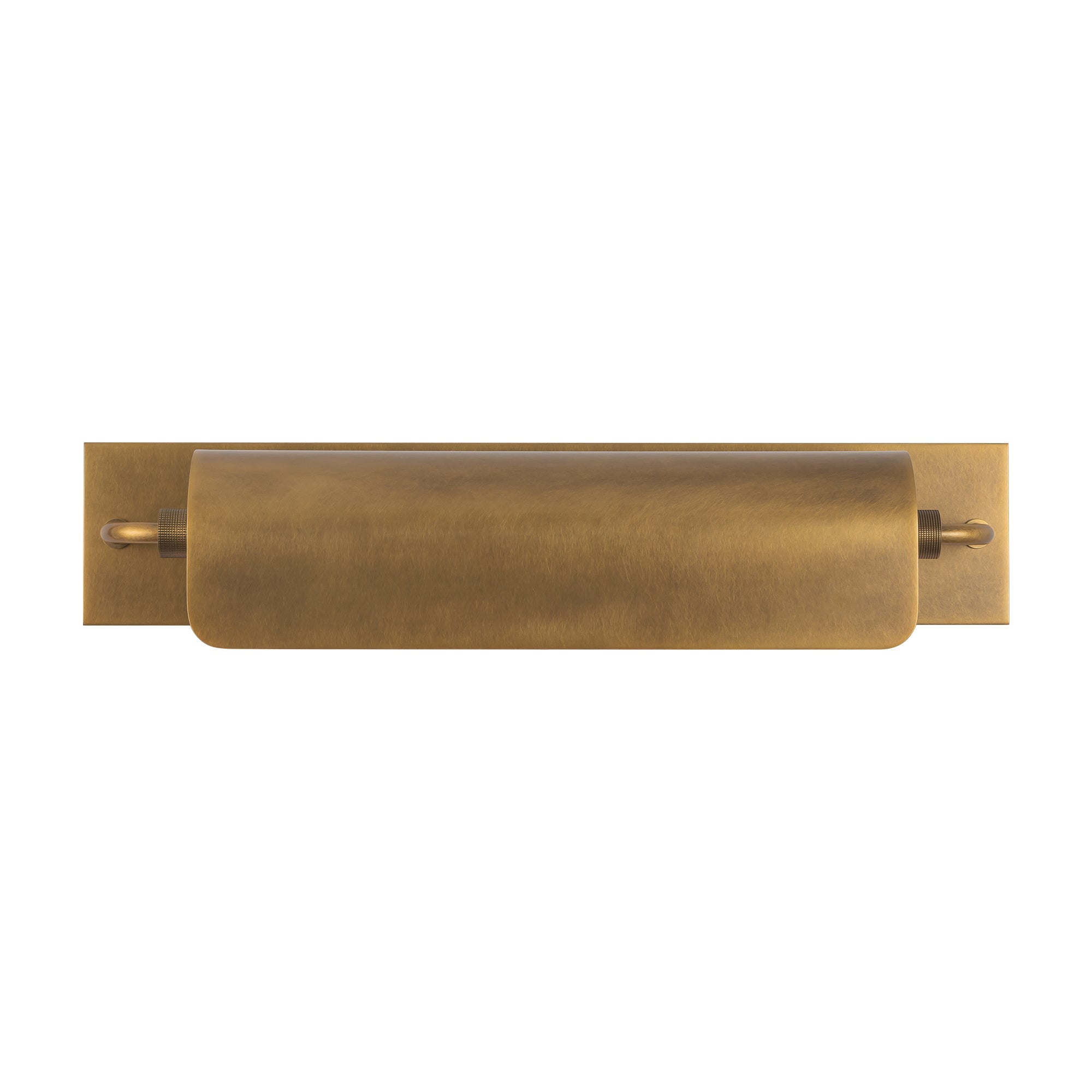 Alora Lighting Darby Wall & Picture Light