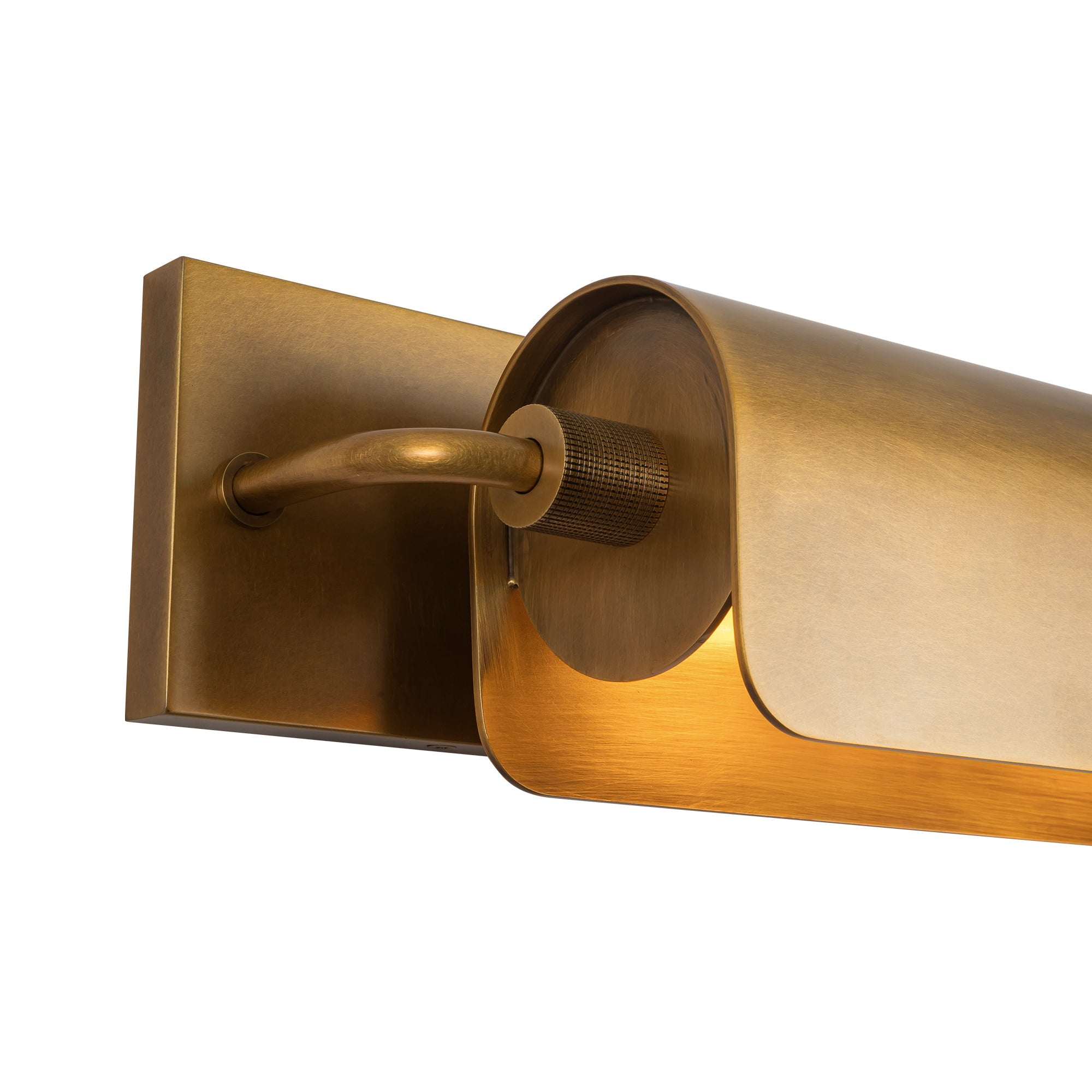 Alora Lighting Darby Wall & Picture Light