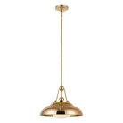 Alora Lighting - Palmetto Pendant - PD344014PBGO - Canada Light Shop