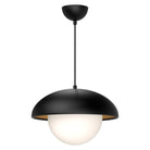 Alora Lighting - Rubio Pendant - PD522016MBOP - Canada Light Shop