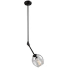 Artcraft Lighting - Organic One Light Pendant - JA14020BK - Canada Light Shop