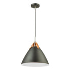 Artcraft Lighting - Tote Pendant - SC13320BK - Canada Light Shop