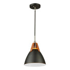Artcraft Lighting - Tote Pendant - SC13321BK - Canada Light Shop