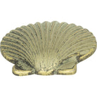 Atlas Homewares - Clamshell Knob - 143-V - Canada Light Shop