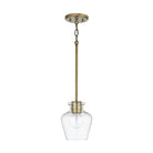 Capital Lighting Fixture Company - Danes Pendant - 338111AD-489 - Canada Light Shop