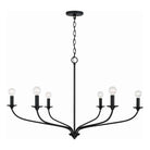 Capital Lighting Fixture Company - Dolan Chandelier - 449961MB - Canada Light Shop