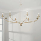 Capital Lighting Fixture Company - Dolan Chandelier - 449981MA - Canada Light Shop