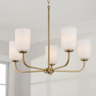 Capital Lighting Fixture Company - Lawson Chandelier - 448851AD-542 - Canada Light Shop