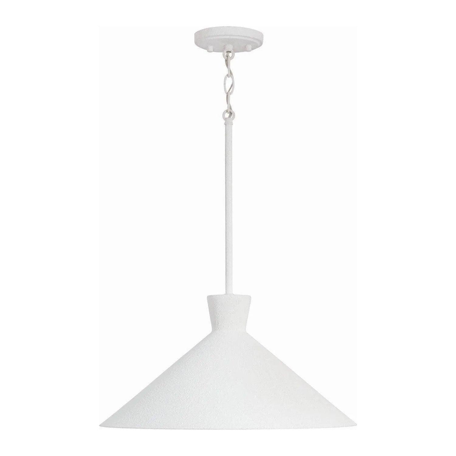 Capital Lighting Fixture Company - Paloma Pendant - 350312XW - Canada Light Shop