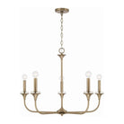 Capital Lighting Fixture Company - Presley Chandelier - 448951AD - Canada Light Shop