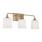 Capital Lighting Fixture Company - Presley Vanity - 148931AD-541 - Canada Light Shop