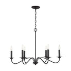 Capital Lighting Fixture Company - Vincent Chandelier - 437262BI - Canada Light Shop