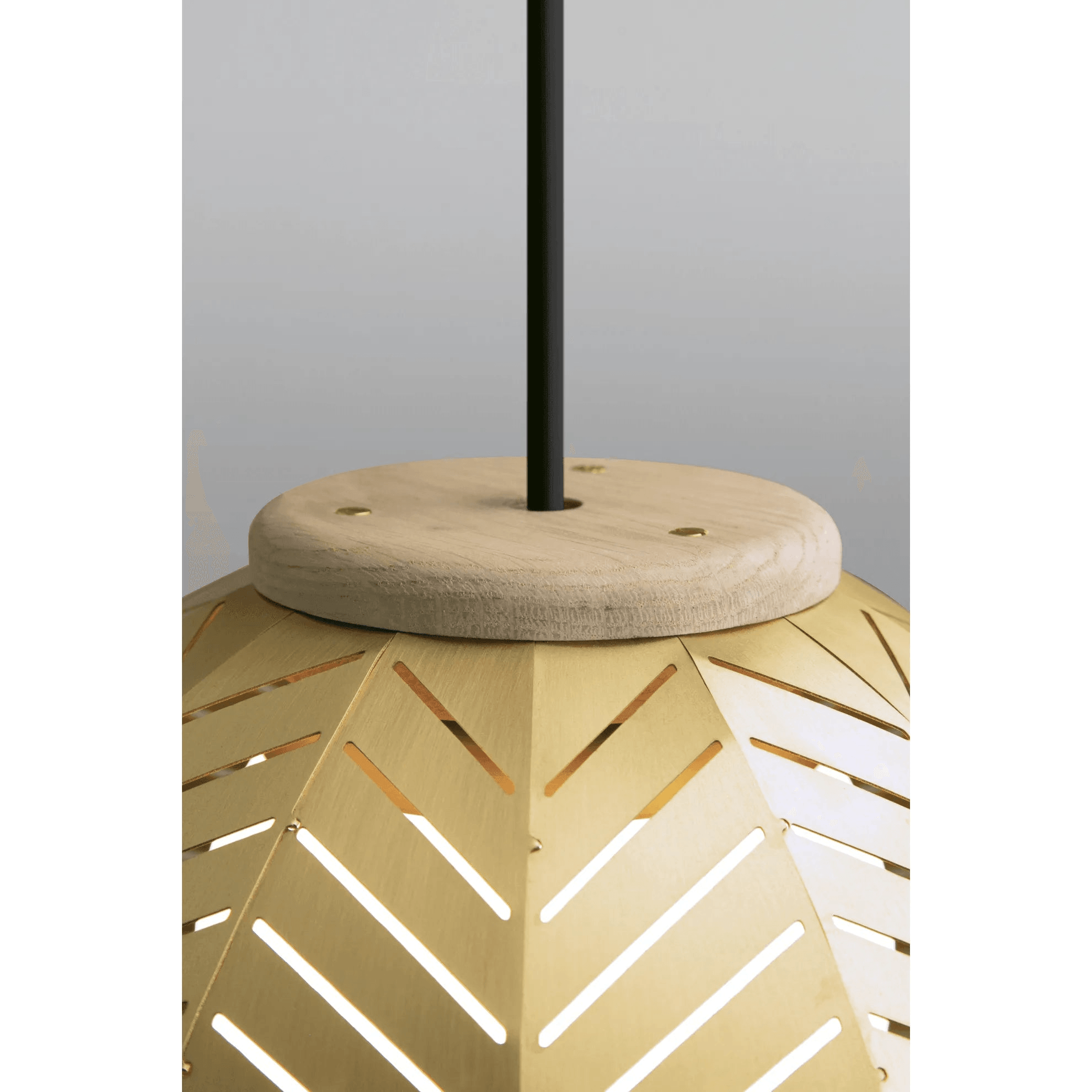 Cerno - Amicus Pendant Light - 06-290-12RO-27P1 - Canada Light Shop