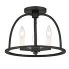 Crystorama - Abbott Ceiling Mount - ABB-3003-BK_CEILING - Canada Light Shop