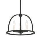 Crystorama - Abbott Chandelier - ABB-3003-BK - Canada Light Shop