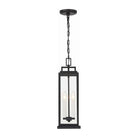 Crystorama - Aspen Outdoor Pendant - ASP-8915-MK - Canada Light Shop