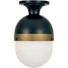 Crystorama - Capsule One Light Outdoor Ceiling Mount - CAP-8500-MK-TG - Canada Light Shop