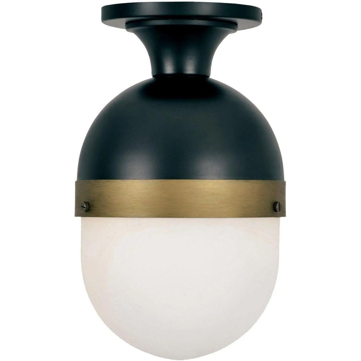 Crystorama - Capsule One Light Outdoor Ceiling Mount - CAP-8500-MK-TG - Canada Light Shop