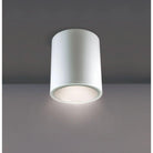 Eurofase - Cask LED Ceiling Mount - 34328-019 - Canada Light Shop