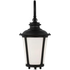 Generation Lighting - Cape May Outdoor Wall Lantern - 88243-12 - Canada Light Shop