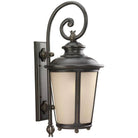 Generation Lighting - Cape May Outdoor Wall Lantern - 88243-780 - Canada Light Shop