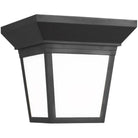 Generation Lighting - Lavon Outdoor Flush Mount - 7546701-12 - Canada Light Shop