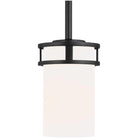 Generation Lighting - Robie Mini-Pendant - 6121601-112 - Canada Light Shop