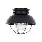 Generation Lighting - Sebring Outdoor Flush Mount - 8869-12 - Canada Light Shop
