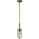 Generation Lighting - Urban Renewal Closed Cage Pendant - P1240DAB - Canada Light Shop