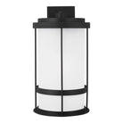 Generation Lighting - Wilburn Dark Sky Outdoor Wall Lantern - 8890901D-12 - Canada Light Shop