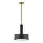 Hinkley Lighting - Cedric Pendant - 30074BK - Canada Light Shop