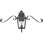 Hinkley Lighting - Nouvelle 19-Inch Outdoor Wall Mount - 2770BLB-SCR - Canada Light Shop