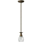 Hinkley Lighting - Plantation 5-Inch Pendant - 5317PZ - Canada Light Shop