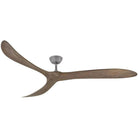Hinkley Lighting - Swell Ceiling Fan - 903880FGT-NDD - Canada Light Shop
